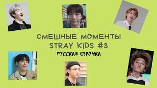 Смешные моменты Stray Kids ОЗВУЧКА НА РУССКОМ  #3