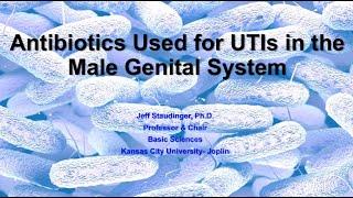 LECT Antibiotics Used for UTIs in the Male Genital System Staudinger