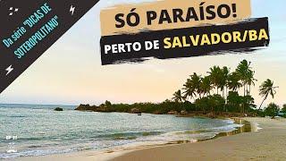 Praias paradisíacas próximas a SalvadorBA  Saiba como visita-las em sua estadia