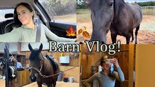 FALL BARN VLOG  Come with me to the barn  DibbleCraft 