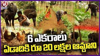 New Farming Techniques  Organic Vegetable Farming In Thimmaipally  Siddipet District  V6 News