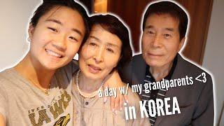 A DAY IN KOREA W MY GRANDPARENTS  seeing them for the first time in 4 years & spoiling them 
