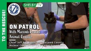  On Patrol with Macomb County Animal Control - June 2023 Episode To the Rescue 