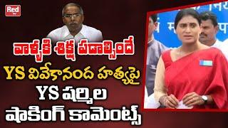 YS Sharmila Shocking Comments On YS Vivekananda Reddy Case  YS Jagan  YS Avinash Reddy  Red TV