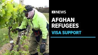 A WA regional council supports Afghan refugee visa applications to help worker shortages  ABC News