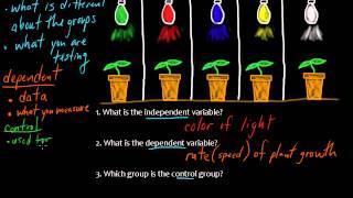 Experiments Explained Clear and Simple Learn the Basics