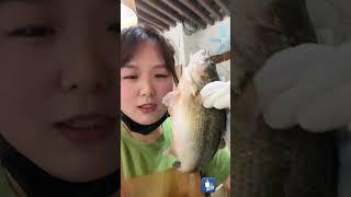 Pretty Girl cutting fish - Beautiful girl show fish cutting