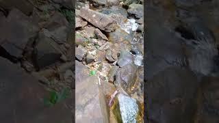 Temurun Falls Langkawi Malaysia  #malaysia #waterfall