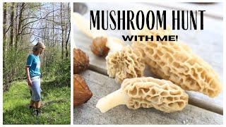 Mushroom Hunting in Ohio  Finding Edible Morels  Hunt for Mushrooms with me