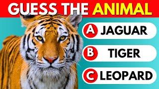 Guess The Animal Quiz  50 Animals
