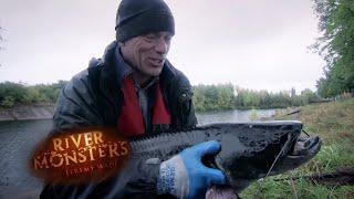 Radioactive MUTANT In Chernobyl  SOM  River Monsters