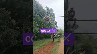 COBRA COMMANDO #commando #youtubeshorts #shortvideo #shorts #viralshorts #viral #trending