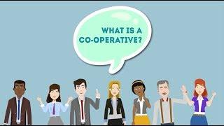 What is a coop