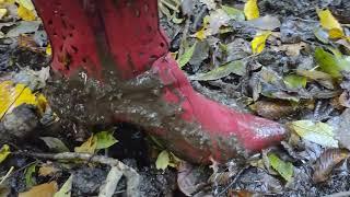 Red boots wet Autumn walk