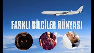 BİRBİRİNDEN İLGİNÇ FARKLI BİLGİLER