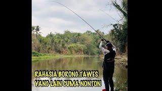 Pemancing Ini Borong Semua Ikan Tawes - Mancing Di Sungai Progo