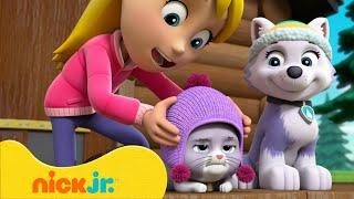 Paw Patrol  Missioni di salvataggio per gattini e animali domestici  Nick Jr. Italia