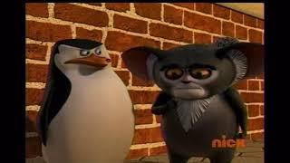 The Penguins of Madagascar Vs. New Jersey