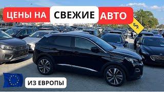 СВЕЖИЕ Авто из Европы. Обзор ЦЕН. Сентябрь