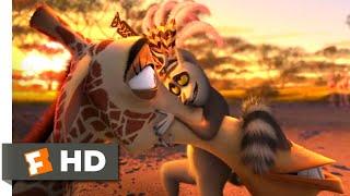 Madagascar Escape 2 Africa 2008 - King Julians the Match Maker Scene 610  Movieclips