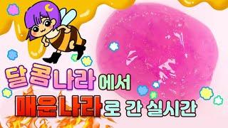 달콤나라에서 매운나라로 간 실시간  Feat.불타오르네  여러분은 어떤나라에 사실래요?  달냐냐버실 