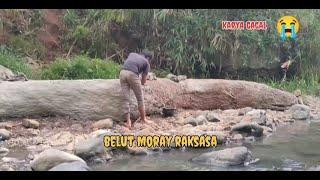 Belut moray raksasa dari tanah liat.. karya gagal