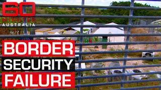 Failures in immigration allowing violent criminals to thrive in Australia  60 Minutes Australia