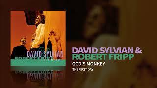 David Sylvian & Robert Fripp - Gods Monkey The First Day