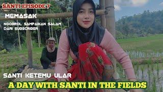 a day with santi in the fields   gadis desa cantik  Rurral life indonesia