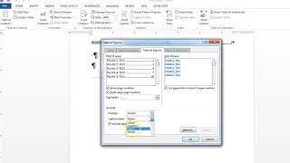 Table of Figures in Word