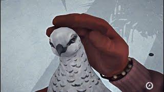 THE LONG DARK Ptarmigan