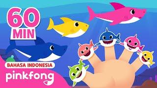 Di manakah Ayah Hiu?  Kumpulan Lagu Baby Shark  Lagu Anak  Pinkfong Indonesia