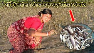 নদীতে চরপাড়া দিয়ে বড় বড় মাছ পেলাম found big fish by wading in the river Nandita Sundarban life