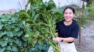 Stinky Amaranth stems smelly and salty but super delicious