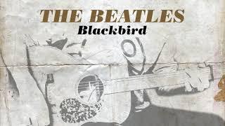 The Beatles - Blackbird Cover