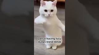 kucing lucu ikutan trend tiktok viral #cat #prabowo #kucing #barongsai #kucinglucu #debatcapres