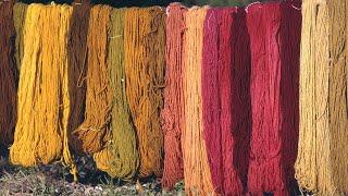 Dyeing fabrics in a traditional way with plants  Natural dyes  Lost Trades  Documentary film