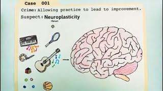 Case 001 Neuroplasticity and the Secret Behind Practice