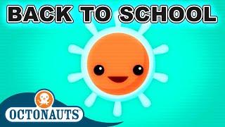 #BacktoSchool @Octonauts - Ocean Creatures  70 Mins+  Cartoons for Kids  Underwater Sea Education