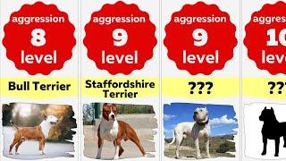 Comparison 50 Most Aggressive Dog Breeds in the World  Dangerous Dogs