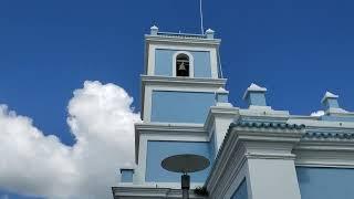 Un domingo en la Plaza de Cayey noviembre 2022