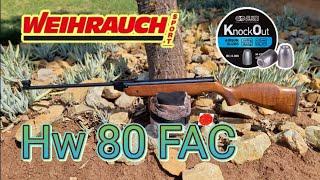 Weihrauch HW80 FAC 4.5mm accuracy test with JSB knockout 10.03gr slugs