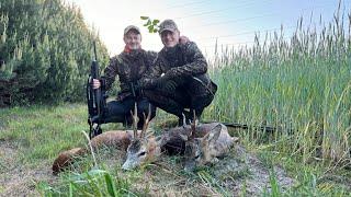 Jagd auf Maiböcke in Polen Teil 1 - Jagdkrone