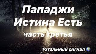 Истина Есть Пападжи Сатсанг Присутствие в Настоящем Моменте Познать Вселенную аудиокнига часть 3