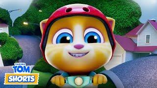  Secret Treasure Hunt  - Talking Tom Shorts S2 Episode 41