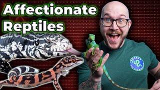 Do Reptiles Really Love You?  Top 5 Most Affectionate Pet Reptiles