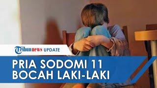 Pria Beristri Sodomi 11 Bocah Laki laki Anak Tetangganya Selama 6 Tahun Keluarga Korban Takut Lapor