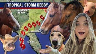 Preparing For HURRICANE DEBBY With All My Pets