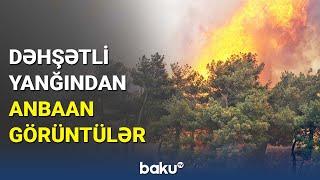 Türkiyədə meşə yanğınları davam edir