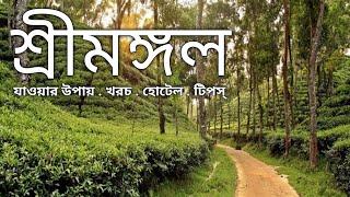 শ্রীমঙ্গল ভ্রমণের সবকিছু এক ভিডিওতে  Sreemangal Tourist Place  Sreemangal Tour